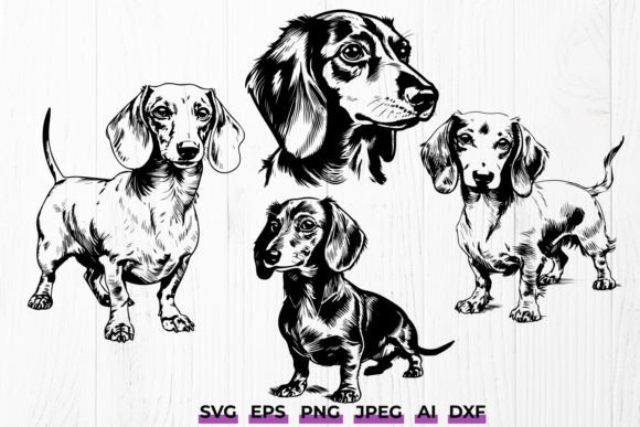 Dachshund Sausage Dog SVG Bundle