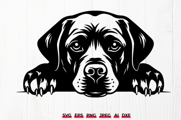 Peeking Black Labrador Retriever Dog SVG